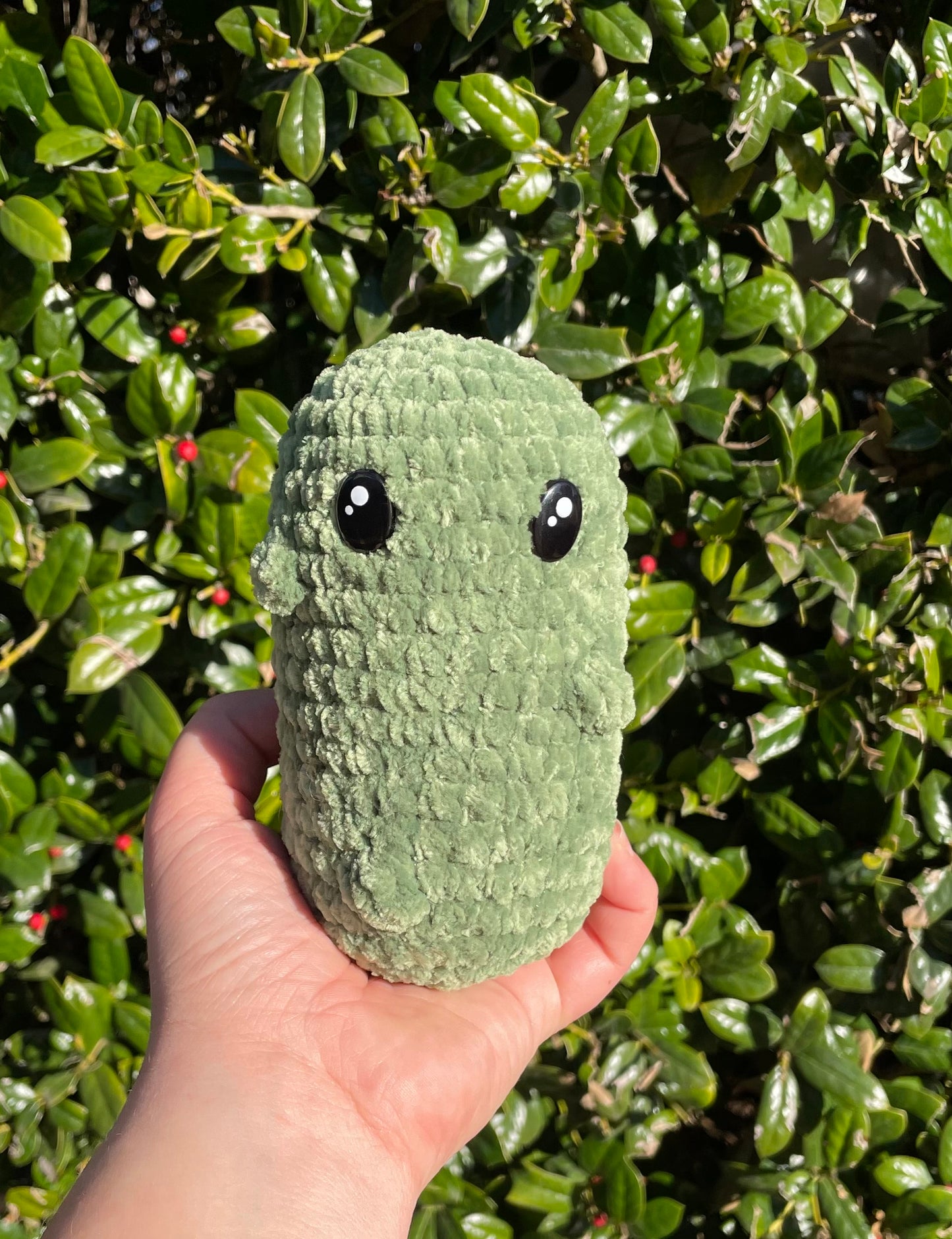 Crochet Pickle