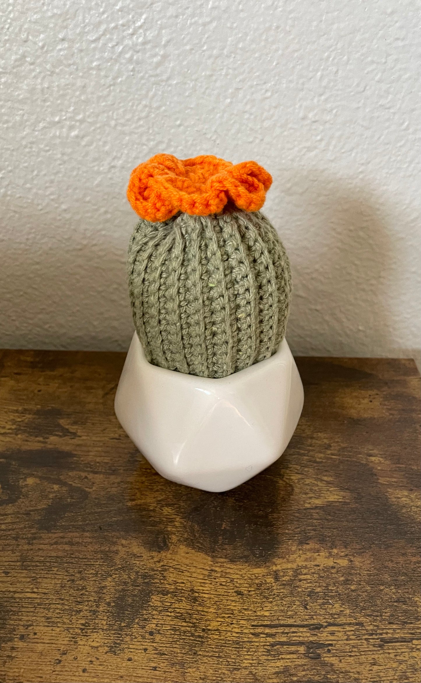 Reversible Crochet Barrel Cactus